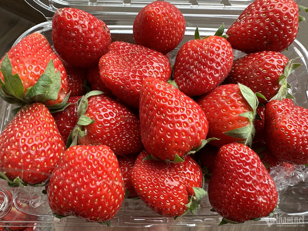 Đặc sản Sơn La ‘nhuộm đỏ’ chợ Hà Nội với giá siêu rẻ - Hình 2 Dac san Son La ‘nhuom do’ cho Ha Noi voi gia sieu re-Hinh-2