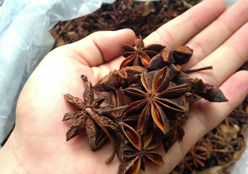 Việt Nam có mặt hàng “báu vật” nhiều quốc gia săn đón Viet Nam co mat hang “bau vat” nhieu quoc gia san don