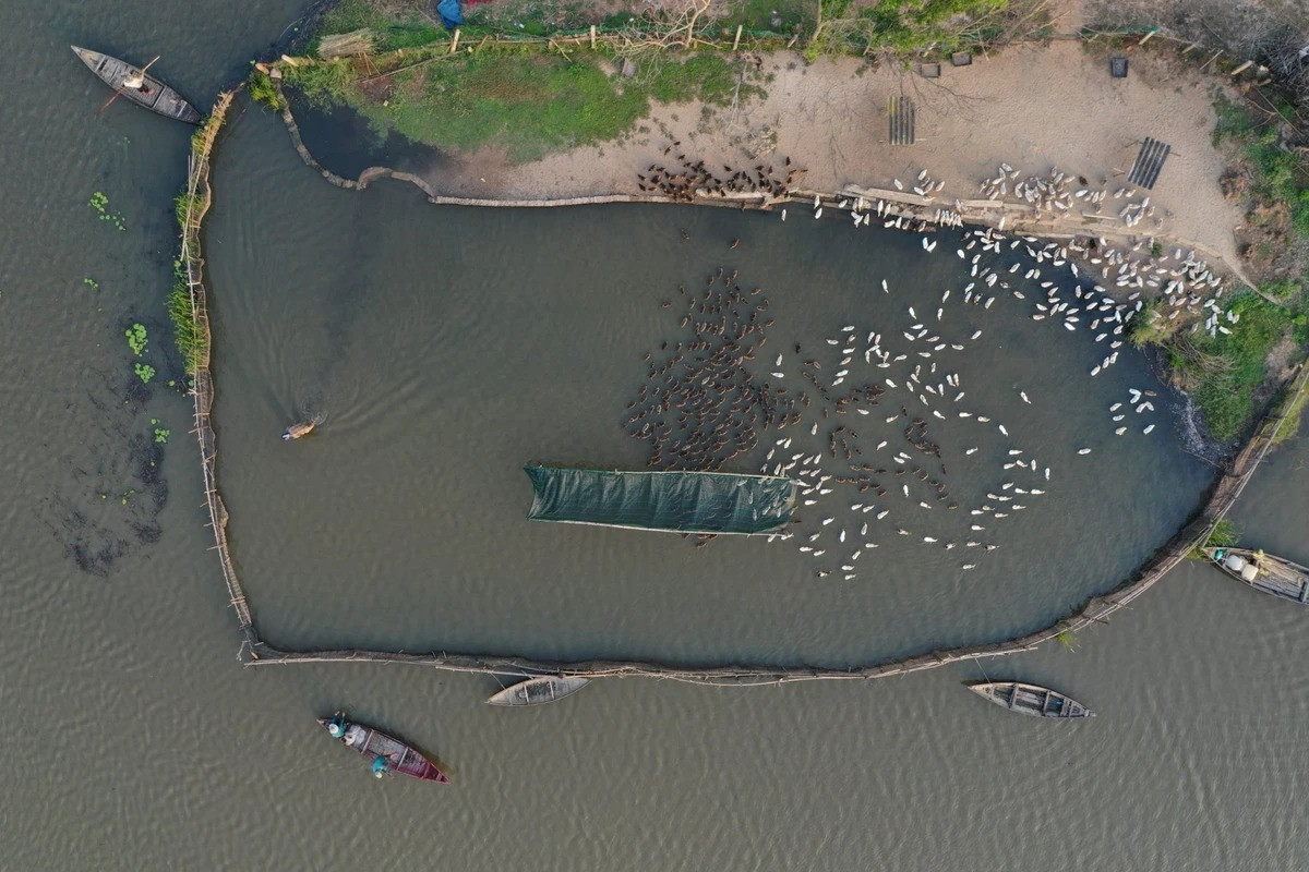 Song Dam - ‘la phoi xanh’ cua TP Tam Ky-Hinh-2