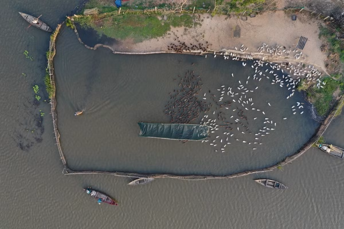 Song Dam - ‘la phoi xanh’ cua TP Tam Ky-Hinh-2