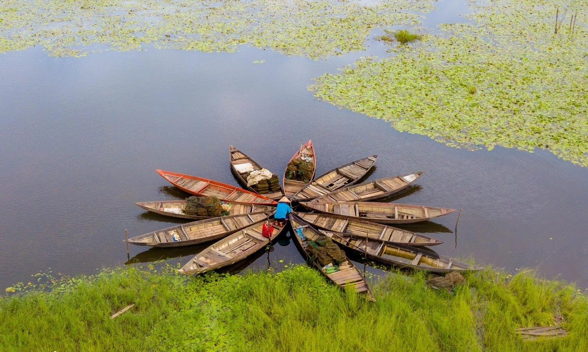 Song Dam - ‘la phoi xanh’ cua TP Tam Ky-Hinh-11