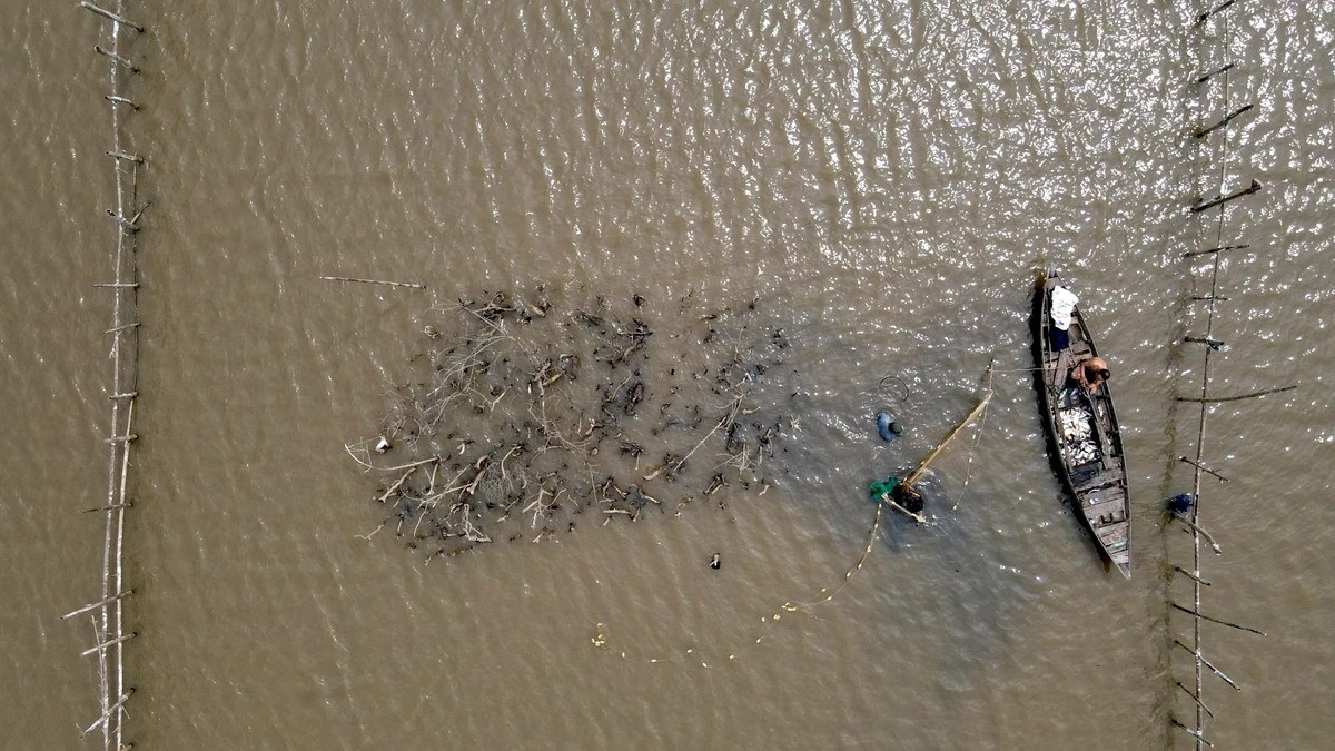 Song Dam - ‘la phoi xanh’ cua TP Tam Ky-Hinh-5