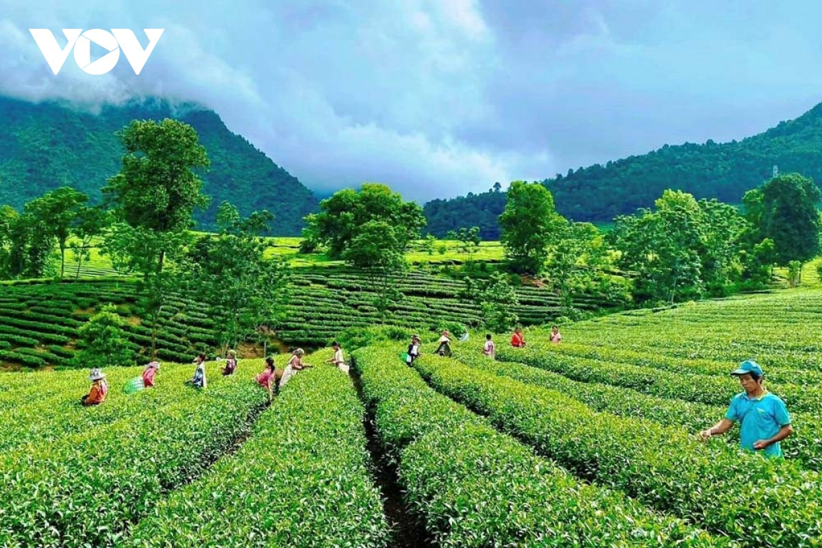 Trai nghiem doc dao Tuan van hoa du lich Tan Uyen, tinh Lai Chau-Hinh-3