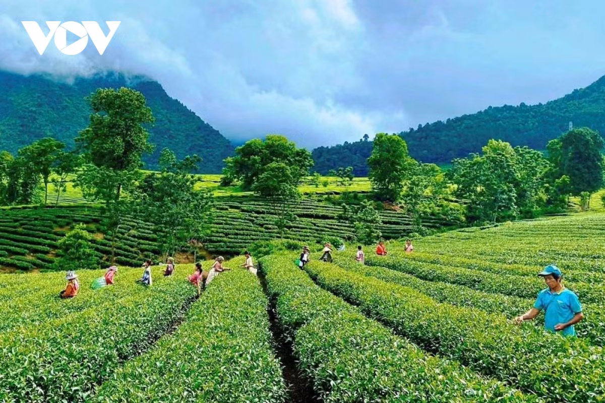 Trai nghiem doc dao Tuan van hoa du lich Tan Uyen, tinh Lai Chau-Hinh-3