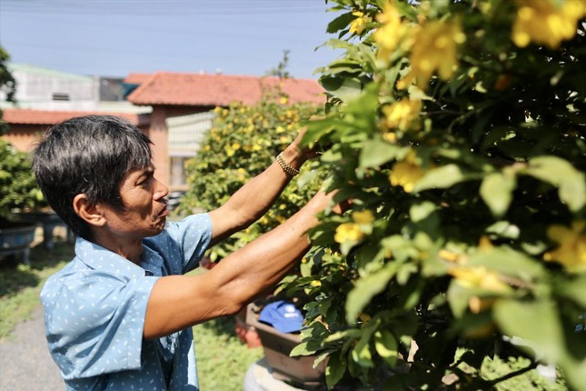 Mua hoa ế cho dân vào chiều 30 Tết Mua hoa e cho dan vao chieu 30 Tet