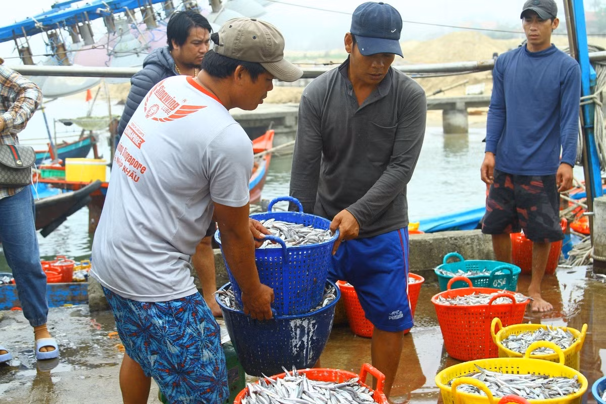 Danh bat 20 tan ca/dem, ngu dan thu hang tram trieu-Hinh-2