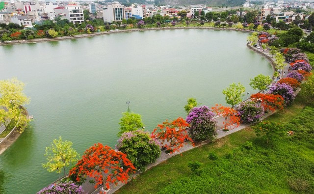 Duong hoa dep nhu xu Han, gioi tre thi nhau check-in