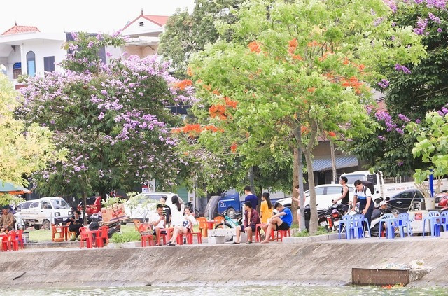 Duong hoa dep nhu xu Han, gioi tre thi nhau check-in-Hinh-7