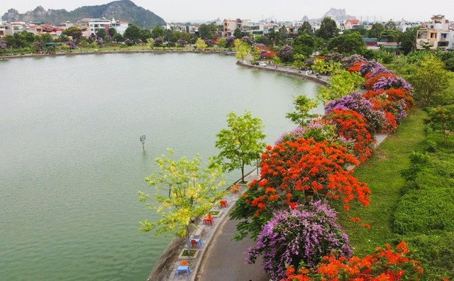 Duong hoa dep nhu xu Han, gioi tre thi nhau check-in-Hinh-8