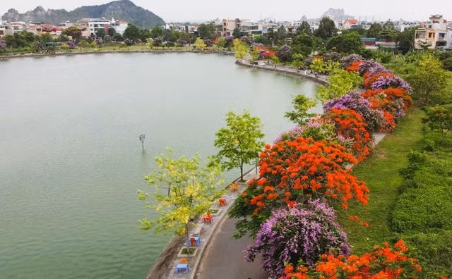 Duong hoa dep nhu xu Han, gioi tre thi nhau check-in-Hinh-8