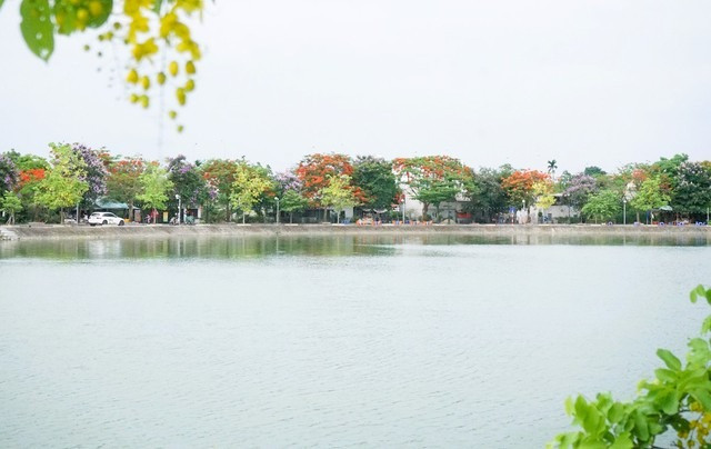 Duong hoa dep nhu xu Han, gioi tre thi nhau check-in-Hinh-11