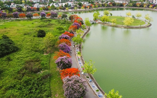 Duong hoa dep nhu xu Han, gioi tre thi nhau check-in-Hinh-2