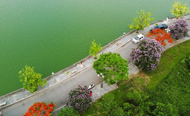 Duong hoa dep nhu xu Han, gioi tre thi nhau check-in-Hinh-10