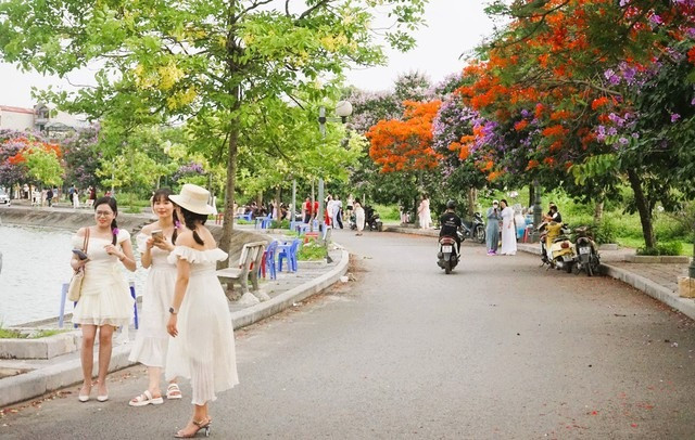 Duong hoa dep nhu xu Han, gioi tre thi nhau check-in-Hinh-6