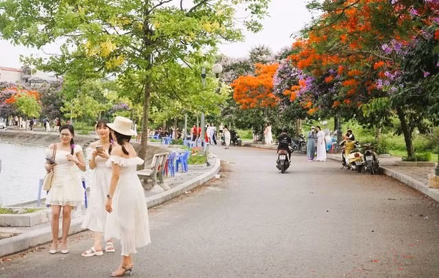 Duong hoa dep nhu xu Han, gioi tre thi nhau check-in-Hinh-6