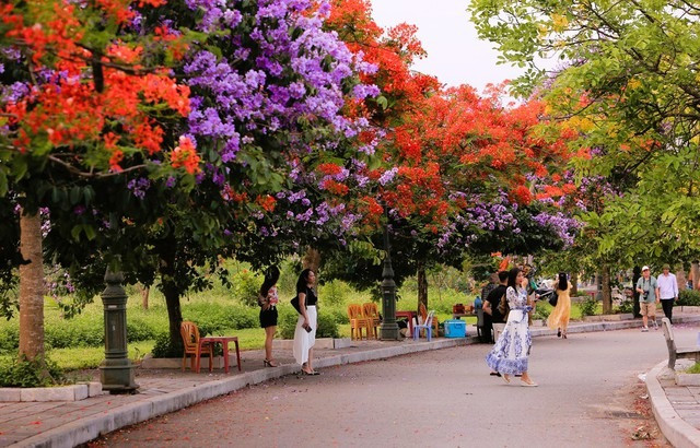 Duong hoa dep nhu xu Han, gioi tre thi nhau check-in-Hinh-3