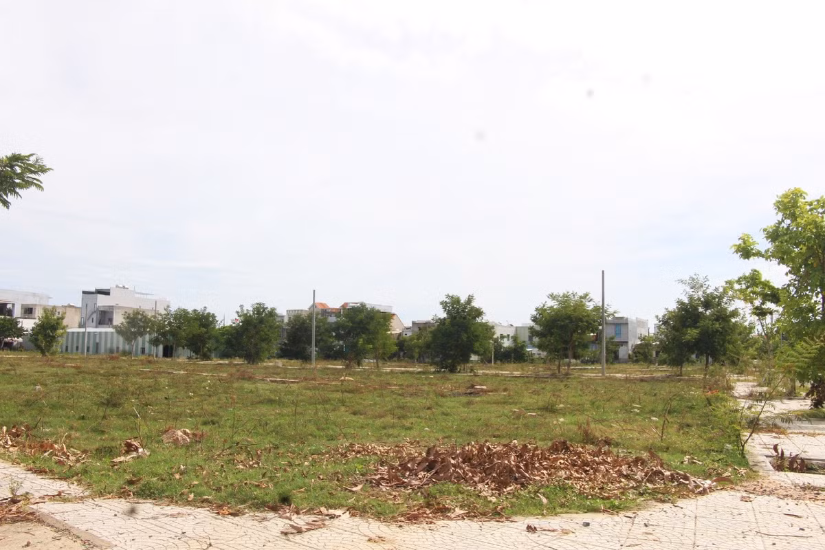 “Treo” so do 300 dan cu, Xay dung Minh Hoang Long bi thanh tra