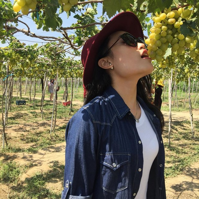 Còn vườn nho miễn phí này ông mở cửa cho khách tham quan khoảng 2 năm nay. Ảnh: diadiemanuong.com