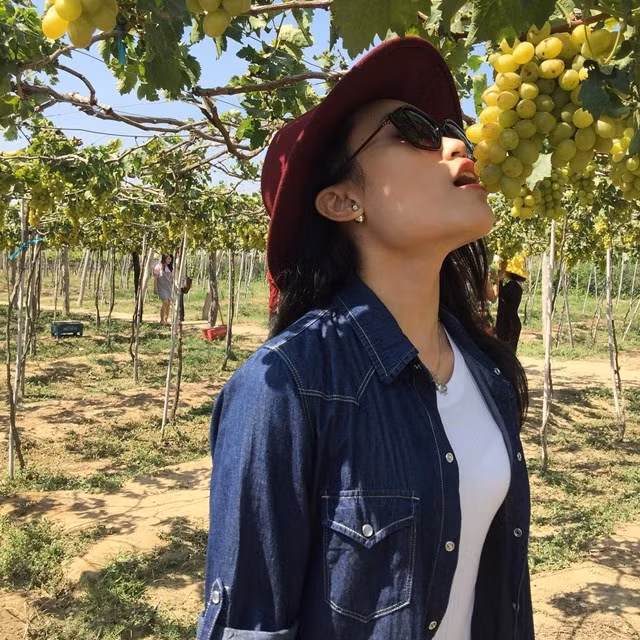 Còn vườn nho miễn phí này ông mở cửa cho khách tham quan khoảng 2 năm nay. Ảnh: diadiemanuong.com