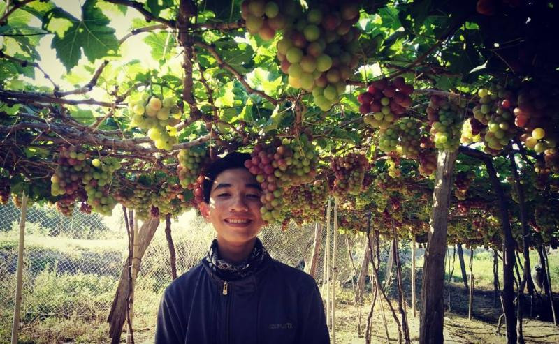 Lượng khách đang ngày một tăng, trung bình mỗi ngày có từ 2 -3 đoàn ghé thăm vườn. Ảnh: ivivu.com