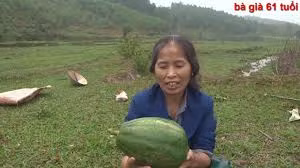 Nội dung các video của "Bà già 61 tuổi" khá đơn giản. Hiện tại kênh Youtube thú vị này mới chỉ đăng tải 6 video, trong đó hầu hết là các đoạn video có nội dung rất đơn giản - nơi "bà già 61 tuổi" thực hiện các công việc nhà nông hoặc nói chuyện về cuộc sống thường ngày. Các video cũng được quay rất đơn giản, sơ sài bằng điện thoại, các thao tác cắt ghép video cũng rất thô sơ.