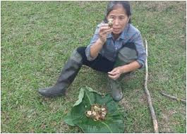 Thế nhưng chính sự đơn giản của các video, giọng nói và ngoại hình chân chất, "ngây thơ" của "Bà già 61 tuổi" lại bất ngờ tạo ra một sức hút kỳ lạ với khán giả trẻ. Chỉ sau 1 tuần hoạt động, "Bà già 61 tuổi" đã có ngay một video gần đạt mốc 1 triệu lượt xem, cùng với đó là gần 50 nghìn người đăng ký theo dõi trên Youtube - một con số không tưởng với một kênh mới hoàn toàn và không đầu tư nhiều.