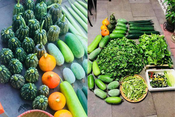 Nhờ "mát tay", vụ nào gia đình chị cũng thu hoạch nhiều rau củ đến nỗi "ăn không hết", chị mang biếu bạn bè và người thân.