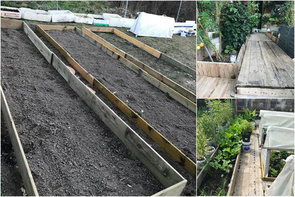 Để có được mảnh đất rộng 500m2 trồng rau, chị đã phải vất vả đào gốc cây lên, cắt nhỏ cây ra phơi khô, sau đó cho vào bao tải mang ra bãi rác của thành phố cách 40km, phải mất gần chục chiếc xe tải loại nhỏ mới hết, tự mình xúc hết sỏi đá, mua khoảng 20 xe tải đất chuyên dùng trồng cây về đổ lên bề mặt khu vườn. Toàn bộ quá trình cải tạo kéo dài hơn hai năm mới gần xong, đều được chị tự tay làm một mình. Chị Hương kể.