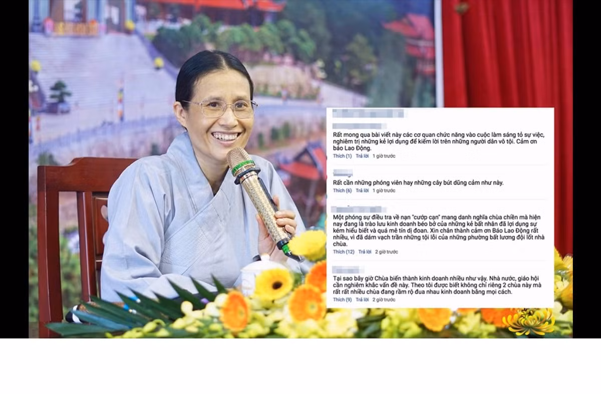 "Nói chung là ví dụ có do kiếp trước thật, thì cũng kệ người ta đi, lôi ra nói để con người ta chết không nhắm mắt à?" - đó là bình luận của độc giả Nguyễn Quỳnh Anh trên Báo điện tử Kiến Thức về phát ngôn của bà Phạm Thị Yến. Hay như độc giả Huỳnh Ngọc Vân, cũng chỉ trích rất quyết liệt Phật tử chùa Ba Vàng như sau: "Suốt ngày treo cái tiền kiếp bên miệng, nhờ cúng quả để trục lợi hay sao? Mà dù có tiền kiếp thật thì bà ấy cũng không có tư cách để biết được tiền kiếp của người khác, huống hồ một người bị hãm hại thương tâm như thế còn nhắc đến để gia đình người ta thêm đau lòng!".