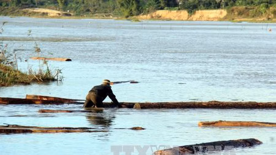 Cham mat canh sat duong thuy, vut bo 50 phach go lau tren song
