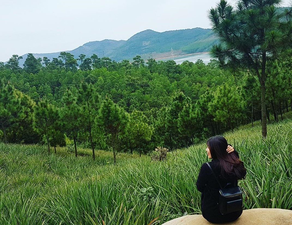 Trên đường đến chùa, bạn sẽ được ngồi thuyền, ngắm nhìn thiên nhiên hữu tình khi băng qua đảo Canh, hòn Cua… và những mỏm núi thoai thoải giữa lòng hồ Yên Lập. Ngoài ra, đường lên chùa Lôi Âm bạt ngàn thông xanh và thảm dứa trải dài, đây là điểm rất được nhiều bạn trẻ lựa chọn để check-in khi ghé thăm. Ảnh: Hintiti90.