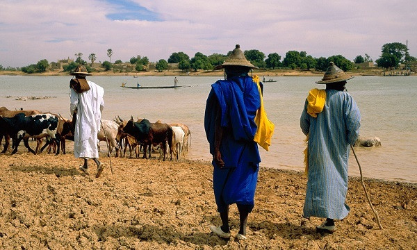 Tan cong dam mau o Mali, hon 100 nguoi thiet mang