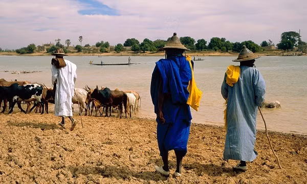 Tan cong dam mau o Mali, hon 100 nguoi thiet mang
