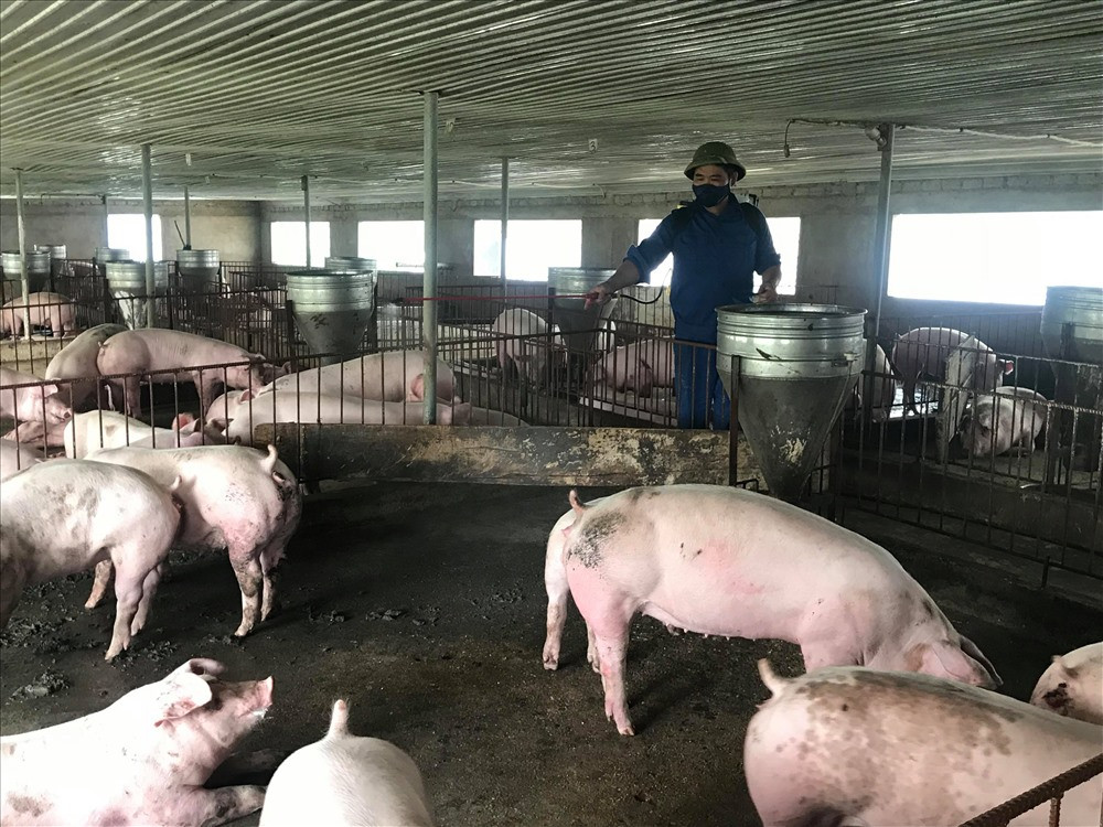 Vung giap ranh dich ta lon chau Phi, rot rao cac phuong an ngan ngua-Hinh-2