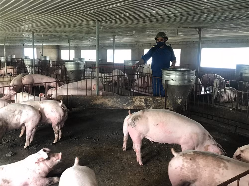 Vung giap ranh dich ta lon chau Phi, rot rao cac phuong an ngan ngua-Hinh-2