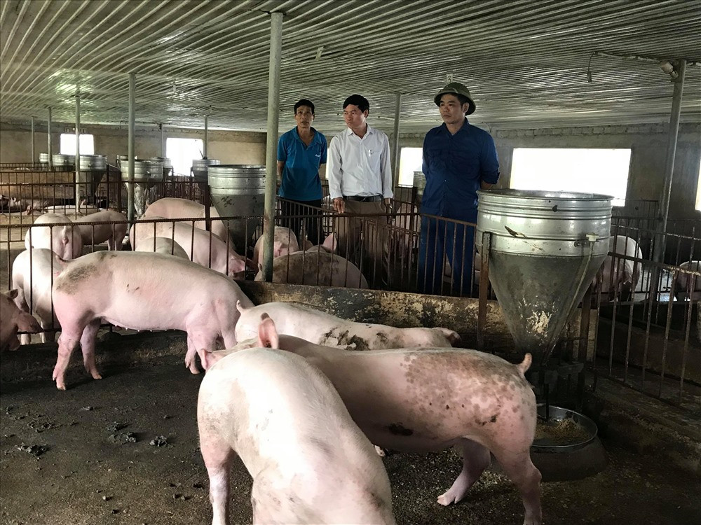 Vung giap ranh dich ta lon chau Phi, rot rao cac phuong an ngan ngua-Hinh-3