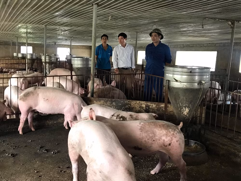 Vung giap ranh dich ta lon chau Phi, rot rao cac phuong an ngan ngua-Hinh-3