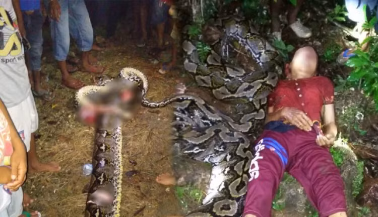 Ron nguoi tran khong lo tan cong du, nuot song nguoi phu nu