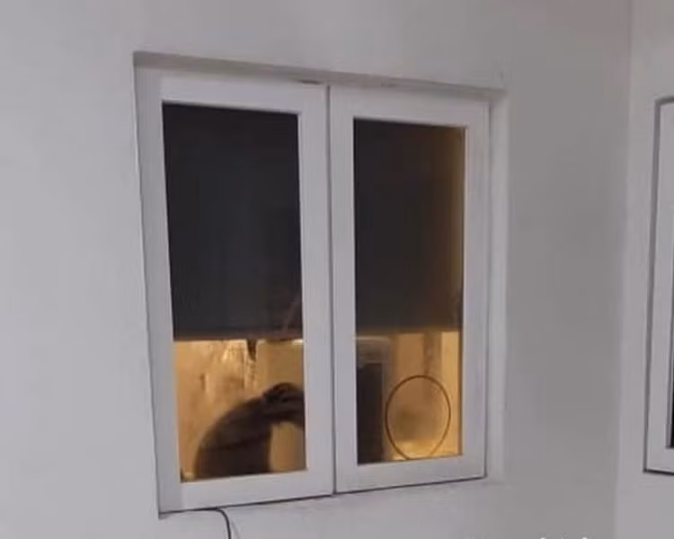 Nghe tieng gam ky la o chung cu, tim ra dieu kinh di-Hinh-2