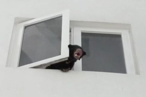 Nghe tieng gam ky la o chung cu, tim ra dieu kinh di