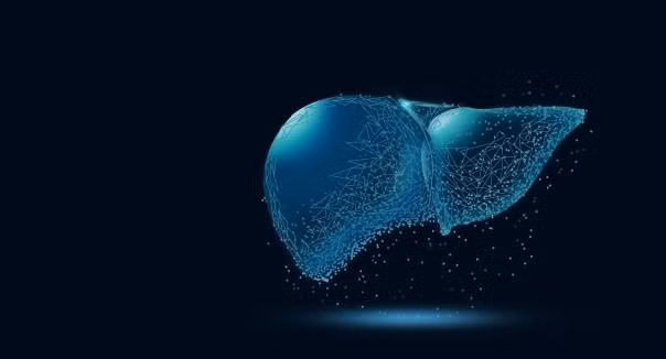 Mac benh gan bao lau thi tang nguy co chuyen bien thanh ung thu gan?