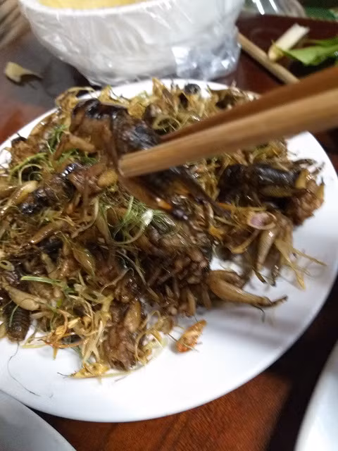 Dac san Tay Bac: Mua xuong san de men ve xao nuoc mang chua-Hinh-3