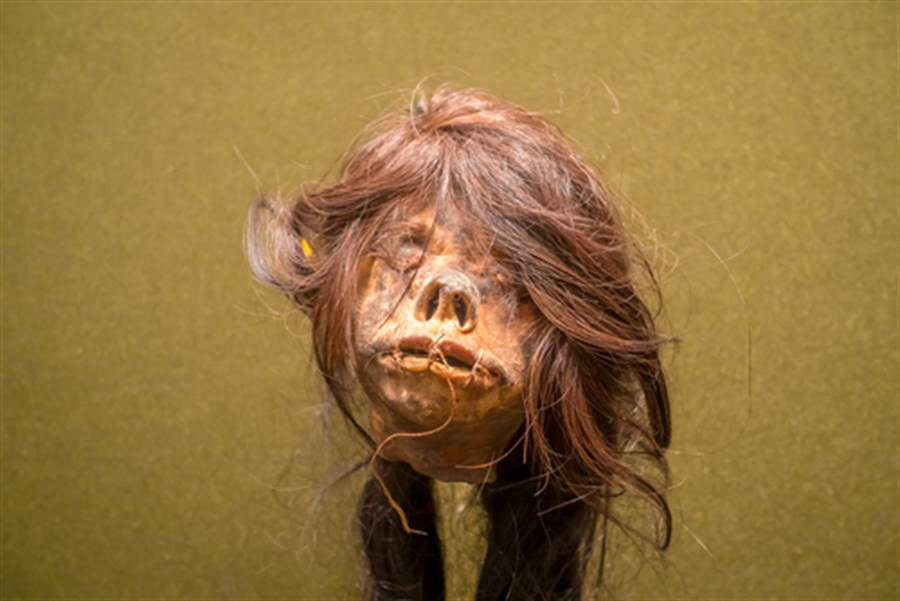 Kinh di ky thuat thu nho dau lau ke thu cua nguoi Shuar