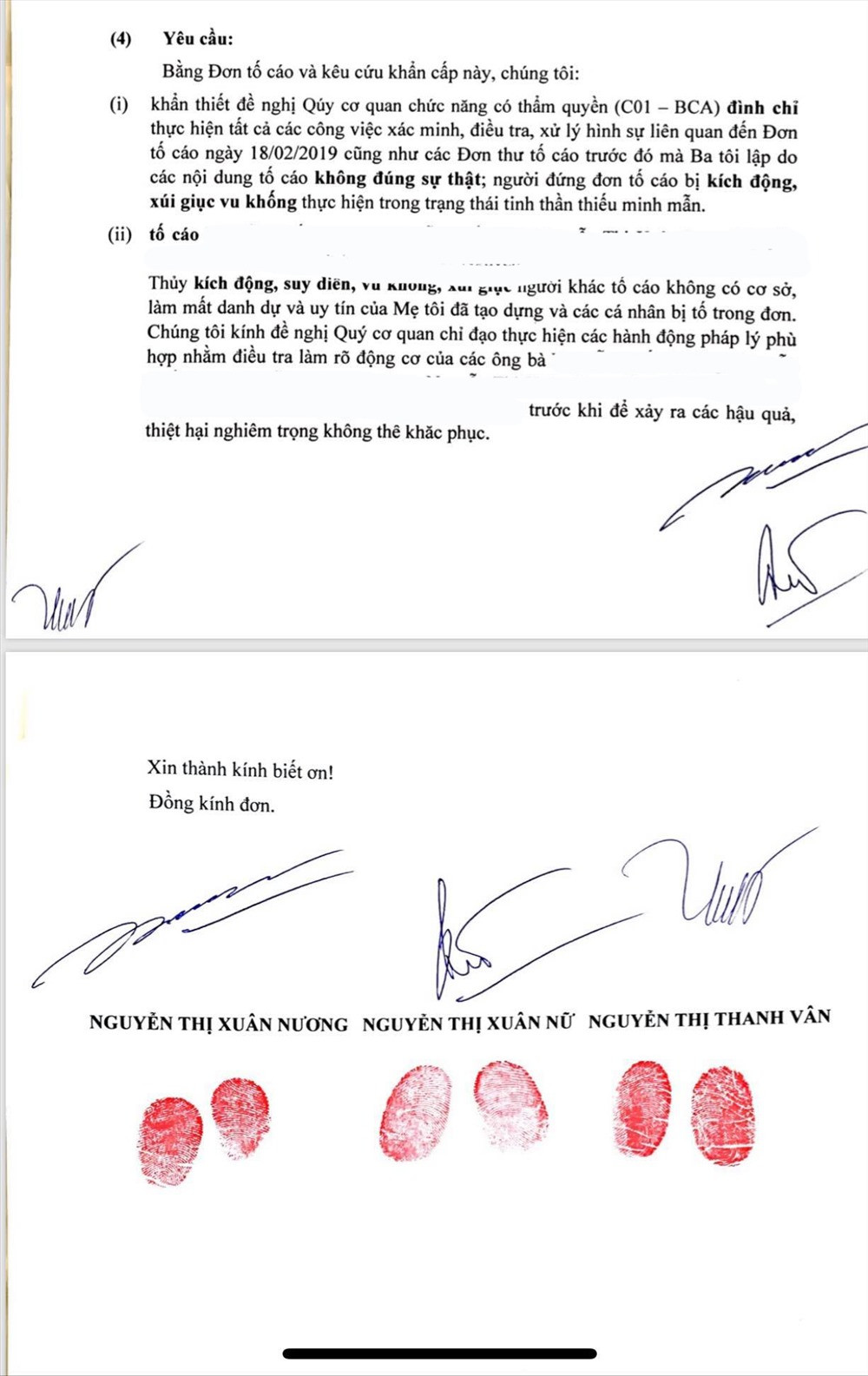 Xuat hien don 3 nguoi con to nguoc chong dai gia Tu Huong-Hinh-2