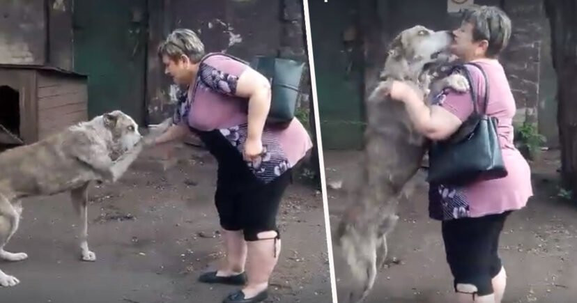 Lac chu 2 nam, chu cho khoc om cham chu ngay hoi ngo-Hinh-2