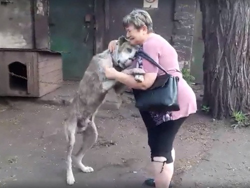 Lac chu 2 nam, chu cho khoc om cham chu ngay hoi ngo