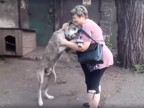 Lac chu 2 nam, chu cho khoc om cham chu ngay hoi ngo