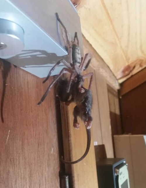 Di nghi mat, cap doi het hon voi 