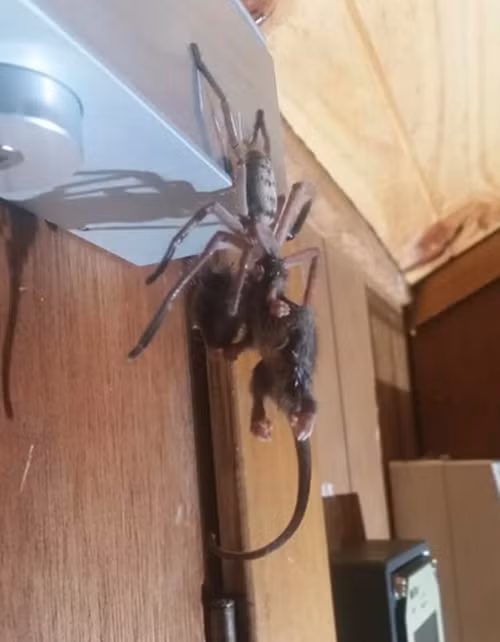 Di nghi mat, cap doi het hon voi 