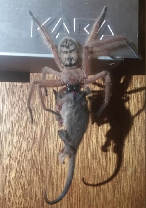 Di nghi mat, cap doi het hon voi 